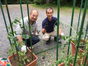 無農薬野菜の神